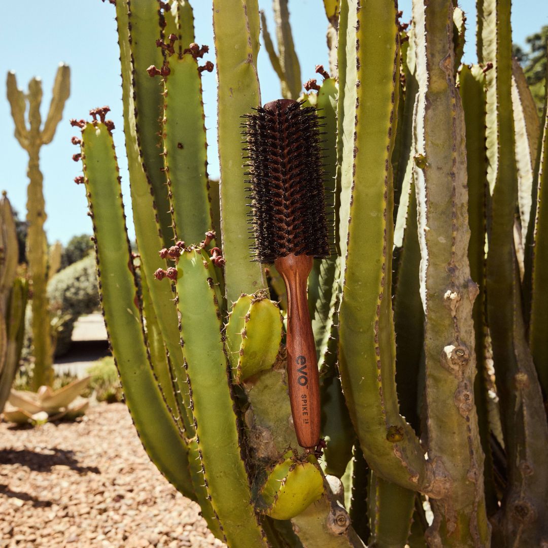 evo spike 28 dabisko saru matu suka