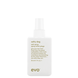 evo salty dog mini paplūdimio tekstūros purškalas