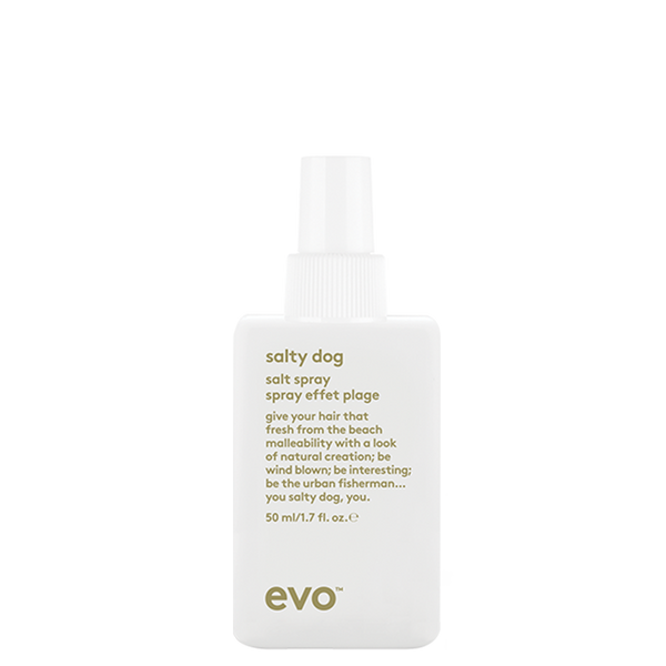 evo salty dog mini paplūdimio tekstūros purškalas