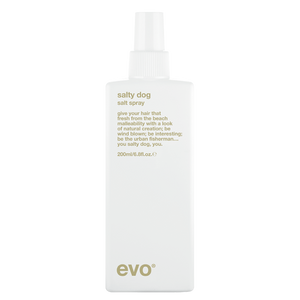 evo salty dog paplūdimio tekstūros purškalas